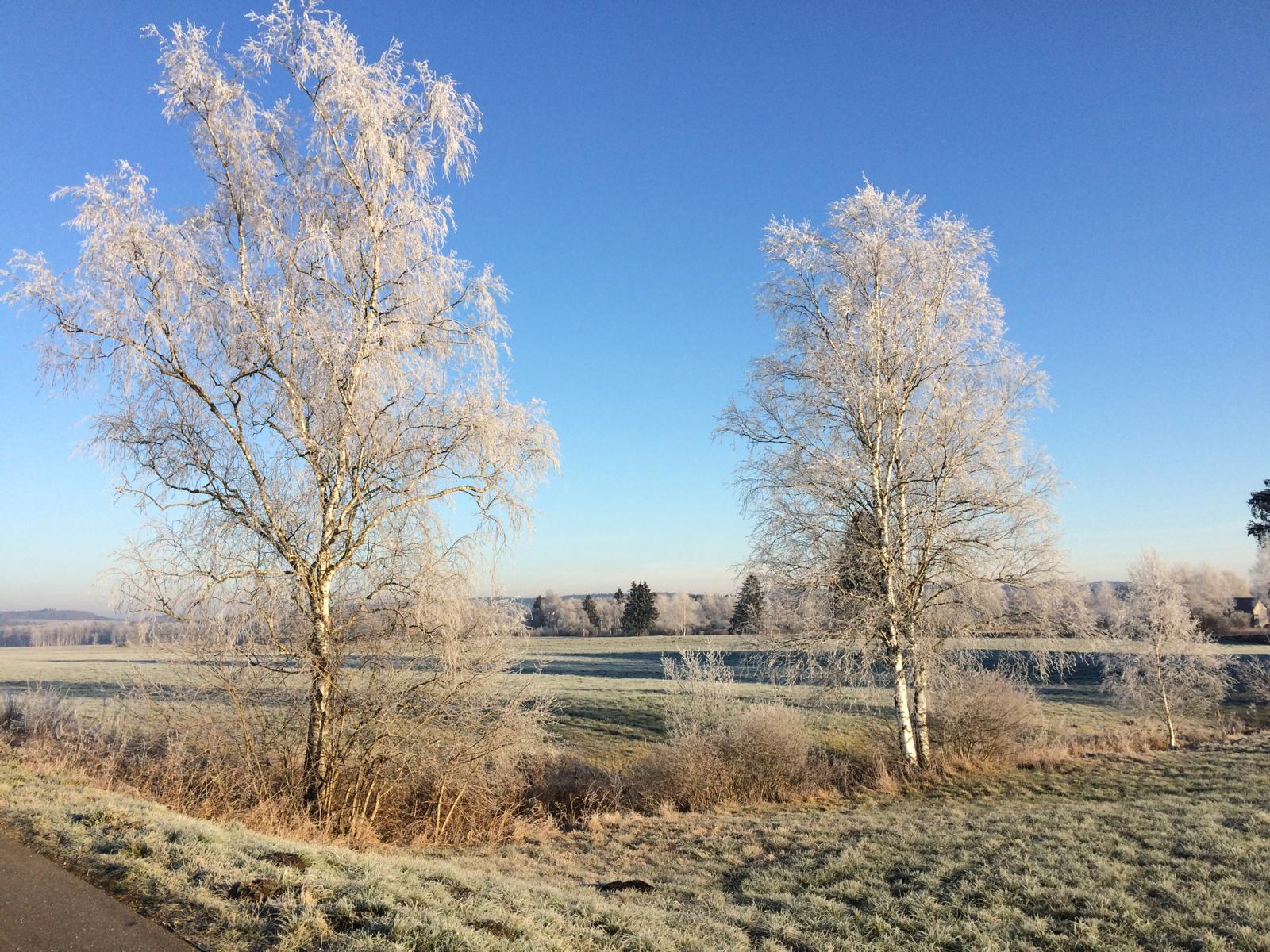 Weihnachts-Betriebsferien